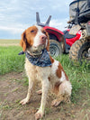 Turkey Feather Print Bandana, FREE Shipping