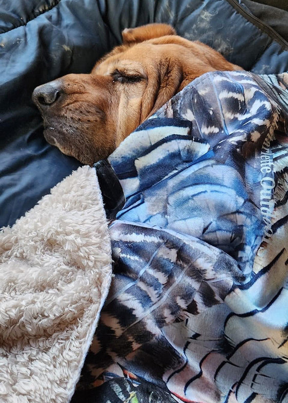 Blood Hound Dog curled up with a Turkey Feather Hunting Blanket, so cute