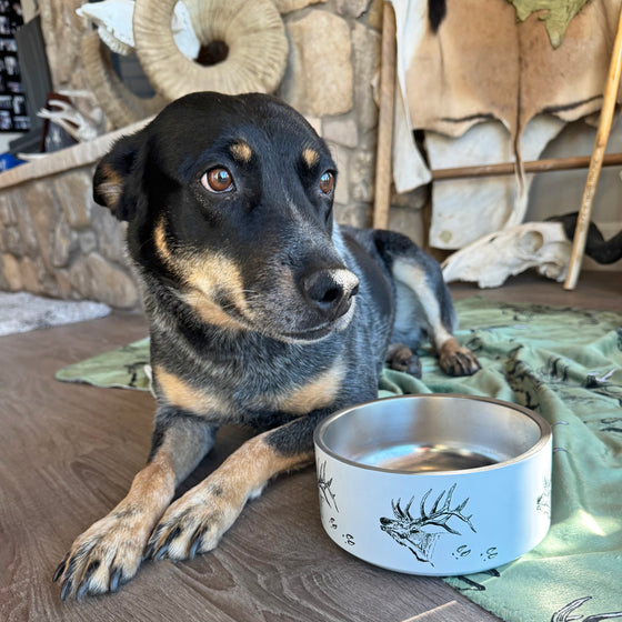 Blue Heeler with an elk logo stainless steel pet bowl from River to Ridge 