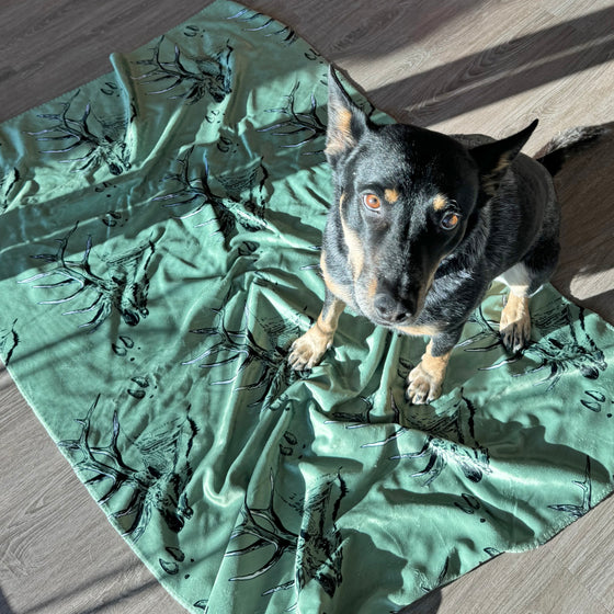 Blue Heeler dog on an elk fleece blanket in green from River to Ridge Clothing