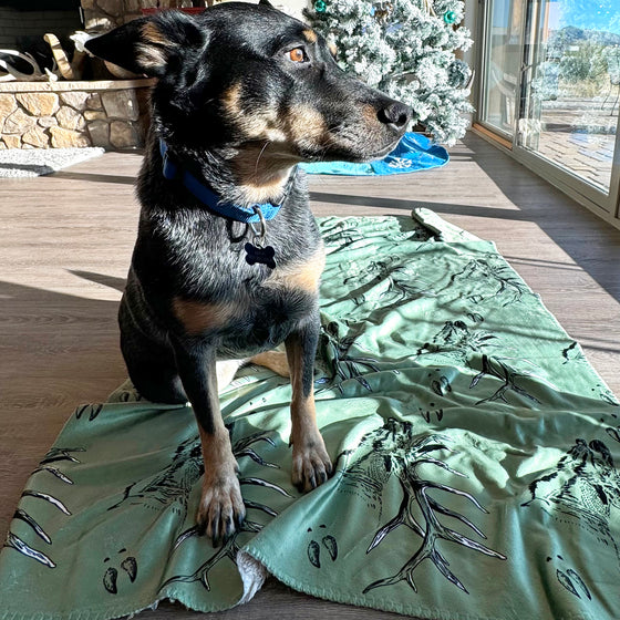 Treat Your Pet to an Ultra Soft Elk Sherpa Fleece Blanket