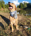 Turkey Feather Print Bandana, FREE Shipping