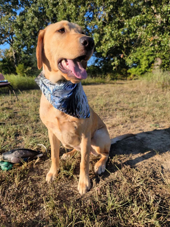 Turkey Feather Print Bandana, FREE Shipping