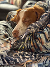 Springer Spaniel hunting dog sleeping on a Turkey Feather Pattern blanket from river to ridge brand