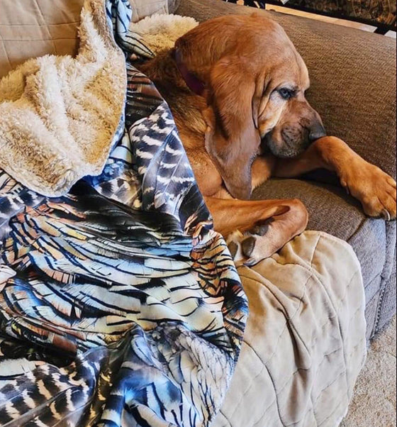 Treat Your Pet to a Turkey Feather Sherpa Blanket