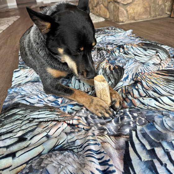 Treat Your Pet to an Ultra Soft Turkey Feather Sherpa Blanket